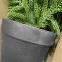 2Pack 3FT Artificial Topiary Trees for Outdoor, UV Resistant Realistic Faux Pine Shrubs Plants, Indoor Fake Trees for Home Offices Front Porch Decor