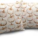 Fall Pumpkin Outdoor Pillow Covers 18x18 Set of 2 Autumn Thanksgiving Harvest Throw Pillows Case Burnt Orange White Farmhouse Fall Holiday Cushion Covers for Sofa Couch Bed Decor