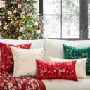 Topfinel Christmas Pillow Covers 18x18 Set of 2,Xmas Cream Velvet Snowflake Reindeer Decorative Pillow Case Winter Holiday Decor for Home Couch,White and Gold