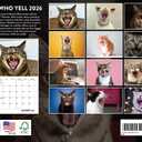 Cats Who Yell Calendar 2026 Monthly Wall Calender 12 Month | American Made In The USA