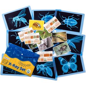 Insect Xrays  Bug Science Kit - Bug Detectives for Kids, Light Table Accessories, STEM Learning Insect X-Ray Set