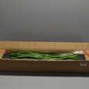 VEVOR Artificial Grass Plant, 2 Pack 59 inch Horsetail Reed Grass in Pot, Premium PVC Faux Fake Greenery Shrubs Plant for Indoor Outdoor House Home Garden Office Room Dcor, Housewarming, Green (5FT)