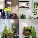 Aokrean Grow Lights for Indoor Plants,Full Spectrum Plant Lights for Indoor Growing with 3/9/12H Timer, 3 Color Modes, 10 Brightness, 6.5"-26" Height Adjustable Small Grow Light, 2 Pack(3.4in)