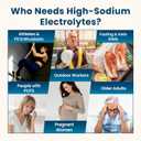 Venture Pal High Sodium Sugar Free Electrolytes Powder Packet - Hydration Packets with Vitamin, Sodium & Potassium | Zero Calories | Vegan, Keto & Paleo Friendly Electrolyte Drink Mix - 30 Sticks