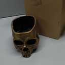 READAEER Resin Skull Bowl, Makeup Brush Organizer, Pen Holder, Planter Flower Pot, Skull Statue for Home Office Indoor Desk Decorations (Gold)