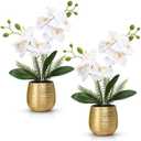 Juinte 1 Pcs Orchids Artificial Flowers in Gold Ceramic Vase 13'' White Fake Flowers Phalaenopsis Faux Orchid for Home Office Wedding Party Dining Room Table Centerpiece Decoration