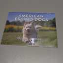 American Eskimo Dog Calendar 2026 Monthly Wall Calender 12 American Eskimo Dogs Gifts For Women Men Month | American Made In The USA