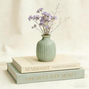 Decorative Books for Home Decor- Coffee Table Aesthetic Decorative Books, Set of 2 Linen Faux Books for Living Room Bookshelf Decoration (Mintgreen&Beige)