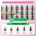 2 x Fairy Lash Clusters  140pcs Manga Eyelash Cluster, Natural 10-18mm Mixed Length Anime Individual Lashes, Invisible Clear Band DIY Cluster Lash Extension for Beginners