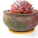 8 Inch Succulent Pot with Drainage and Saucer Glazed Terracotta Round Ceramic Succulent Planter Cactus Bonsai Plant Pot (Pink and Green)