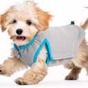 2 x ALL FOR PAWS Cooling Vest Dog Cooling Shirts Breathable Instant Cooling Dogs Vest Lightweight for Summer Dog Clothes (S)