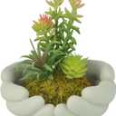 Small Artificial Plants, Mini Succulent Plants with Cute Plant Pot, Artificial Succulents in Pots for Office Desk Decor and Bedroom Kitchen Bathroom Plants Decor (C)