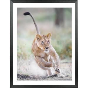 Mxtallup 18x21 Picture Frames Solid wood,Display Pictures 16x19 Inch With Mat or 18x21 Inch Without Mat, Poster Frames 16x19 in Photo Frames Wood Black (T22B1821W1619)