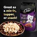 Cesar Simply Crafted Adult Wet Dog Food Toppers for Dry Food, Chicken, 1.3 oz Tubs, 10 Count (EXP 12/13/27)