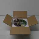 Plug in Pendant Light Fixtures: Hanging Light Plug in Green Glass Hanging Lamp, Pendant Lighting for Kitchen Island, Bedroom, Dining Room, Living Room, E26 No Bulb (Copper)