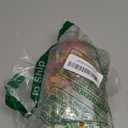 Creative Fish Toy Building Set,Adult Mini Animal Friend Set,Party Favors Gift for Friends,Animal Lover Office Home Decor Building Block,New Year Easter Birthday Gift for Family(Hermit Crab)