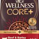 Wellness CORE+ Adult Dry Dog Food with Freeze Dried Pieces, Wholesome Grain Kibble+, Natural, High Protein, Beef and Barley Recipe, 4 lb Bag (EXP 12/16/26)