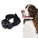 Premier Pet In-Ground Add-A-Dog Collar - Expansion Collar for In-Ground Fence Systems - Waterproof Receiver with Static Correction Levels - Comfortable Nylon Strap - Dog Yard Safety