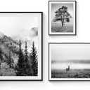 SunFlax Natural Landscape Framed Wall Art - Mysterious Forest and Wildlife Animal Pictures Wall Art Sets with Black Wooden Frames for Bathroom, Living Room, Bedroom, Office 3 PCS