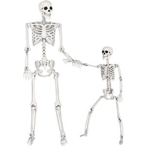 SpringFlower 5.4Ft & 3Ft Halloween Skeleton,Full Body Posable Skeletons Human Plastic Bones with Movable Joints, Halloween Decoration Indoor Outdoor Yard Lawn Garden Party Décor