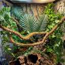 39 Pcs Reptile Vines for Climbing Jungle Theme Party Decorations Natural Moss Rope Artificial Rattans Tropical Palm Leaves Ivy Fake Vines for Dragon Chameleon Snake Gecko Accessories