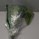 Artificial Ferns for Outdoors & Indoors, 51in Large Fake Ferns Plants, Artificial Boston Fern Faux Greenery for Porch Entrance Home Decor