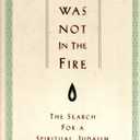 God Was Not in the Fire: The Search for a Spiritual Judaism