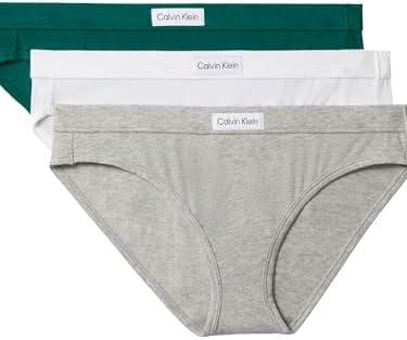 Calvin Klein womens Comfort Logo Cotton Stretch Bikini Panties, 3 Pack.Large