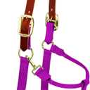 Weaver Equine Breakaway Horse Halter, Supple Leather Crown, Adjustable Chin & Throat Snap Halters for Horses, Equine Tack (Raspberry)