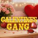 Honoson 14 Pcs Galentines Day Party Decorations Galentines Gang Lights up Sign Girls Ladies Galentine's Day Party Decorations Fireplace Table Decor