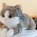 23.6" & 4.5 lbs Gray Cat Weighted Stuffed Animals for Comfort, Cuddly & Soft Kids' Plush Toy Pillows for Companion, Large Plushies with Removable Ceramsite Bag, Gifts for Adults, Kids, Boys and Girls