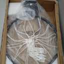 Basketball Rim Replacement, Single-Spring Breakaway Basketball Rim Outdoor Indoor, Universal 18 Inch Heavy Duty Basketball Hoop Rim and Net (BLACK)