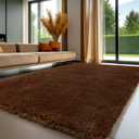 Sour Lemon Area Rugs 9x12 Living Room Bedroom, Large Fluffy Shag Brown