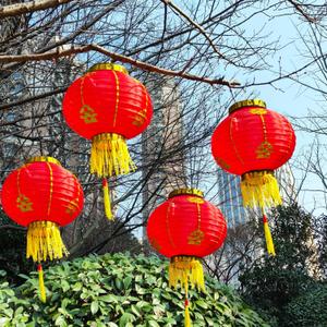 KYMY 2026 Asian New Year Red Lanterns, 4pcs Spring Festival Red Round Decorative Lanterns, Year of The Horse Lunar Year Hanging Lanterns for Chinese, Vietnamese, Korean New Year Decorations-9.8"/25cm (10 inch)