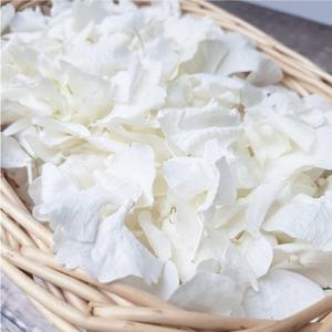 1500Pcs Real Dried Ivory White Hydrangea Flower Petals - Natural smal Petals for Wedding, Party Confetti, Flower Girl Baskets, Romantic Night, Proposal Decor, Handcrafts (1.06 oz)