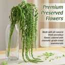 Suncalla Forest Green Spring Natural Dried Amaranthus Hanging Flowers Amaranthus Artificial Flowers for Wedding Arch Bouquet Floral Garland Wall Home Decoration (23 Inch,12 Pcs)
