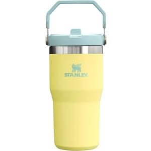 Stanley IceFlow Flip Straw Tumbler with Handle 20 oz | Twist On Lid and Flip Up Straw | Leak Resistant Water Bottle | Insulated Stainless Steel |BPA-Free | Pomelo