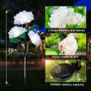 Aolyty Solar Garden Lights Outdoor, Solar Hydrangea Lights IP65 Waterproof LED Flowers Stake Lights 2 Pack for Garden Pathway Patio Backyard Landscape Decorative (White)