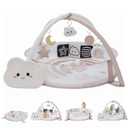 Aila+Aiden 6-in-1 XL Play Mat & Play Gym, Baby Gym, Baby Activity Gym, Sensory Exploration and Motor Skill Development Toys (Blush)