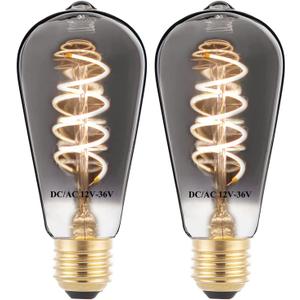 12V Edison Bulb Low Voltage Warm White 2700K E26 Base, DC/AC 12V 24V 36V LED Light Bulbs 40W Equivalent Smoky Grey Glass for RV Camper, Pack of 2 