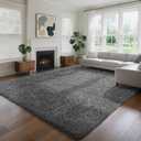 Ophanie 8x10 Area Rugs for Living Room, Large Shag Bedroom Carpet, Grey Big Indoor Thick Soft Nursery Rug, Gray Fluffy Carpets for Boy and Girls Room Dorm Home Decor Aesthetic
