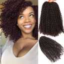 10 Inch Short Passion Twist Hair 8 Bundles Kinky Curly Crochet Hair for Black Women Curly Braiding Hair Crochet Braids Hair (8Bundles10 Inch, 4#)