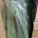 Jexine 4 Pieces 4 ft Tall Artificial Grass Plant Potted Artificial Greenery Floor Plants Fake Pampas Grass Tall in Pot for Housewarming Gift House Garden Bathroom Lobby Indoor Outdoor (Spring)