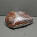 AK TRADING CO. 10 feet x 10 feet Rust IFR Polyester Backdrop Drapes Curtains Panels with Rod Pockets - Wedding Ceremony Party Home Window Decorations (60"W x 120"L (Pack of 2))