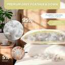 Farm to Home Feather and Down Pillows, 100% Organic Cotton Cover Pillows, Luxury Hotel Collection Bed Pillows for Sleeping, 20" x 28" Queen/Jumbo Size Set of 2