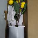WSYEAR Small Fake Lemon Tree for Lemon Decor,Real Touch Faux Plant for Home Office Desk Decor Farmhouse Kitchen Living Room