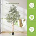 Realead Artificial Olive Tree 10 Feet, Large Fake Olive Tree with Natural Wood Trunk and Lifelike Fruits, Tall Faux Olive Tree 10ft for Home Office Decor