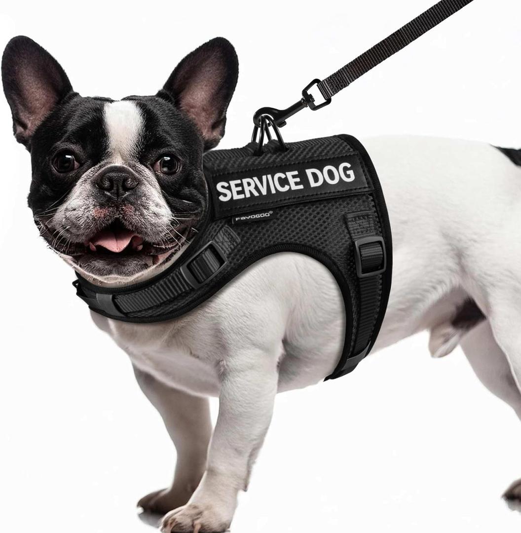 FAYOGOO Service Dog Vest for Small Dogs - Air Mesh Breathble Emotional Support Animal Vest with DIY Removable Patches - Puppy Harness and Leash Set Adjustable Neck and Chest (XS, Black)