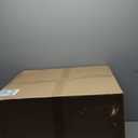 20-Gallon Galvanized Steel Incinerator Can with Lid