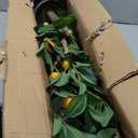 Artificial Lemon Tree 4ft Fake Lemon Plant in Pot Large Fake Floor Plants Faux Trees Indoor Lemon Decorations for Home Living Room Office
